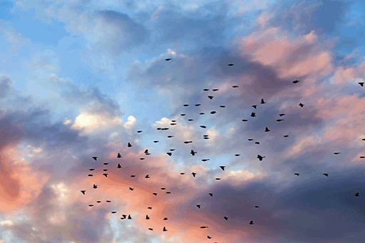 Exemple de non-question philosophique — le ciel est-il bleu